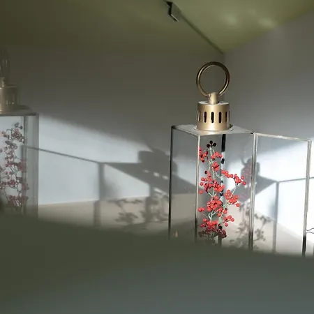 Timone 31 בית נופש צ'יביטאנובה מארקה