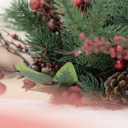 Timone 31 בית נופש