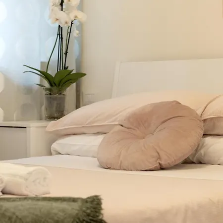 Timone 31 צ'יביטאנובה מארקה