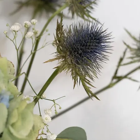 Timone 31 בית נופש