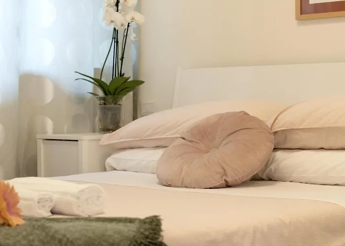 Timone 31 Civitanova Marche