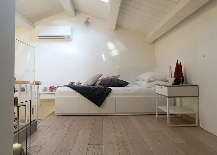 Timone 31 Civitanova Marche