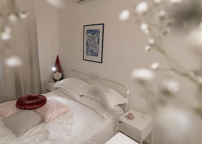 Timone 31 * Civitanova Marche