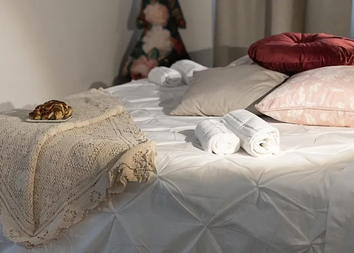 Timone 31 Civitanova Marche