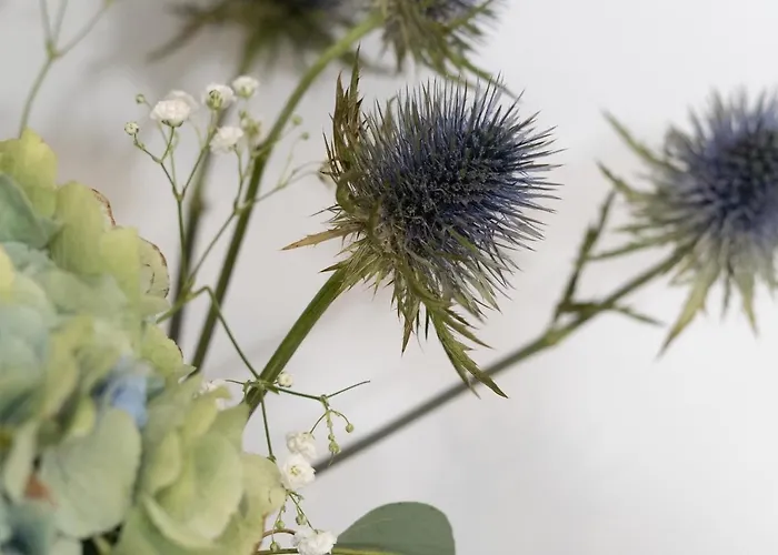 Timone 31 Casa vacanze